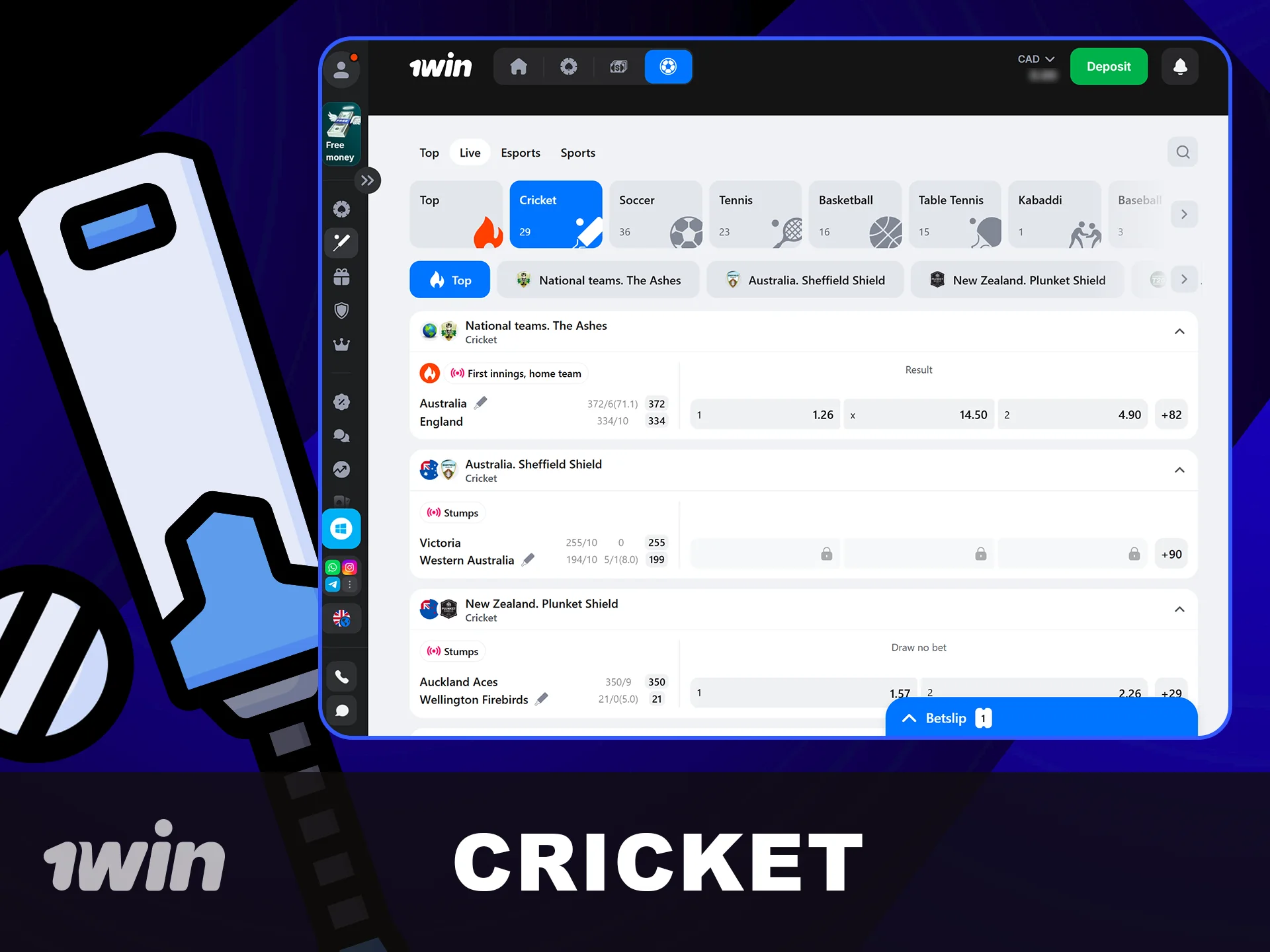 Place your Cricket bets with 1win now.